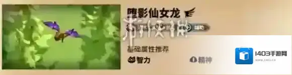 万龙觉醒兰德