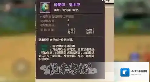 寻仙探索