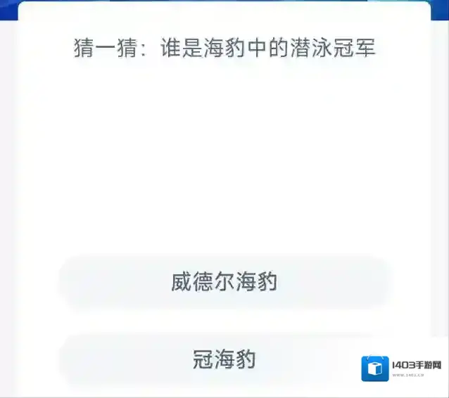 支付宝威德尔海豹