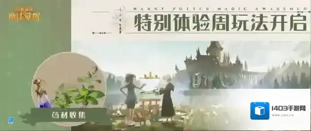 哈利波特魔法觉醒魔法觉醒