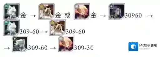 剑与远征培养