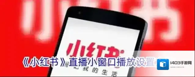 《小红书》直播小窗口播放设置方法